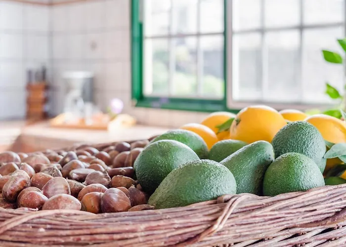 Villa Viv Vac La Casita Del Viejo Guía de Isora